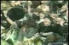 Thumb_uk premiere e! news 2002 8